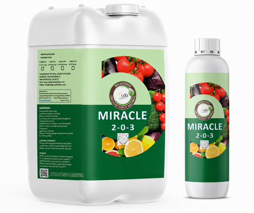 miracle-2-0-3-3042.png